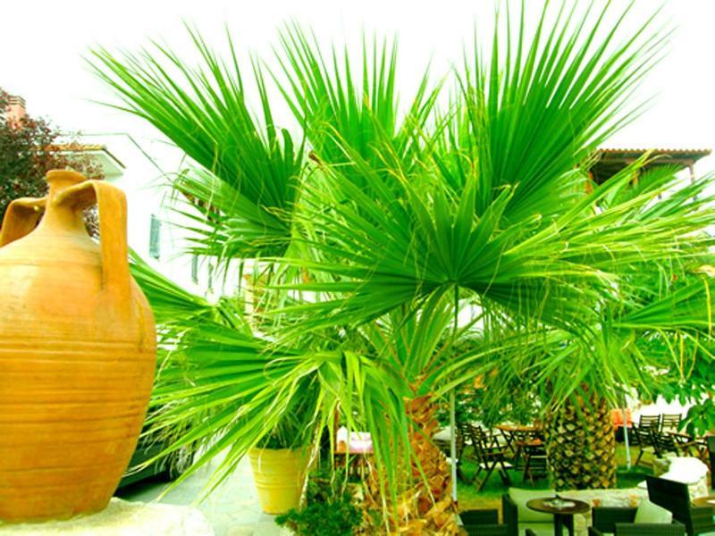 Sivilla Boutique Áfitos